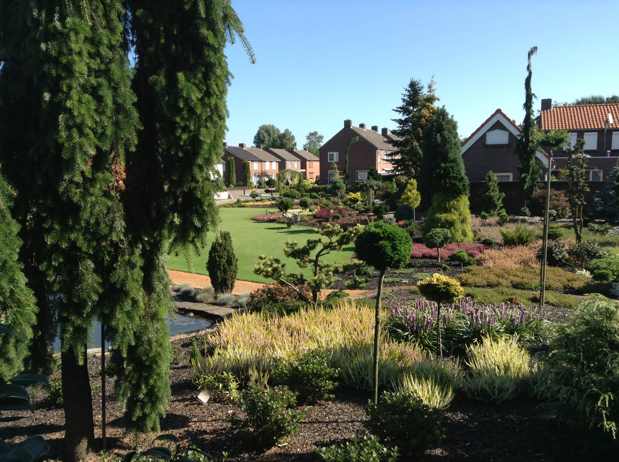 Hagehjelp — beplantning rundt boligvei