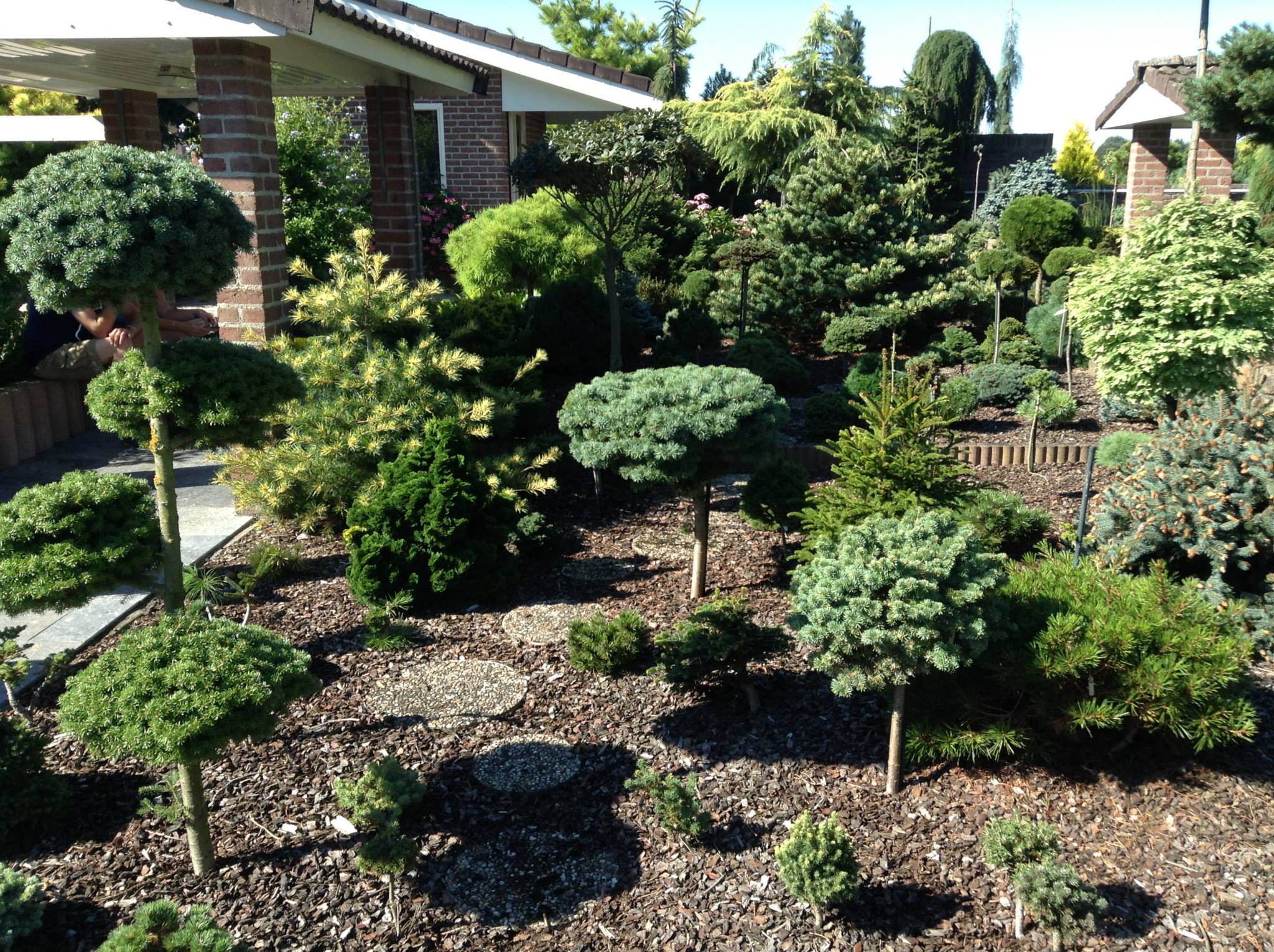 Hagehjelp — formklippede busker langs hus