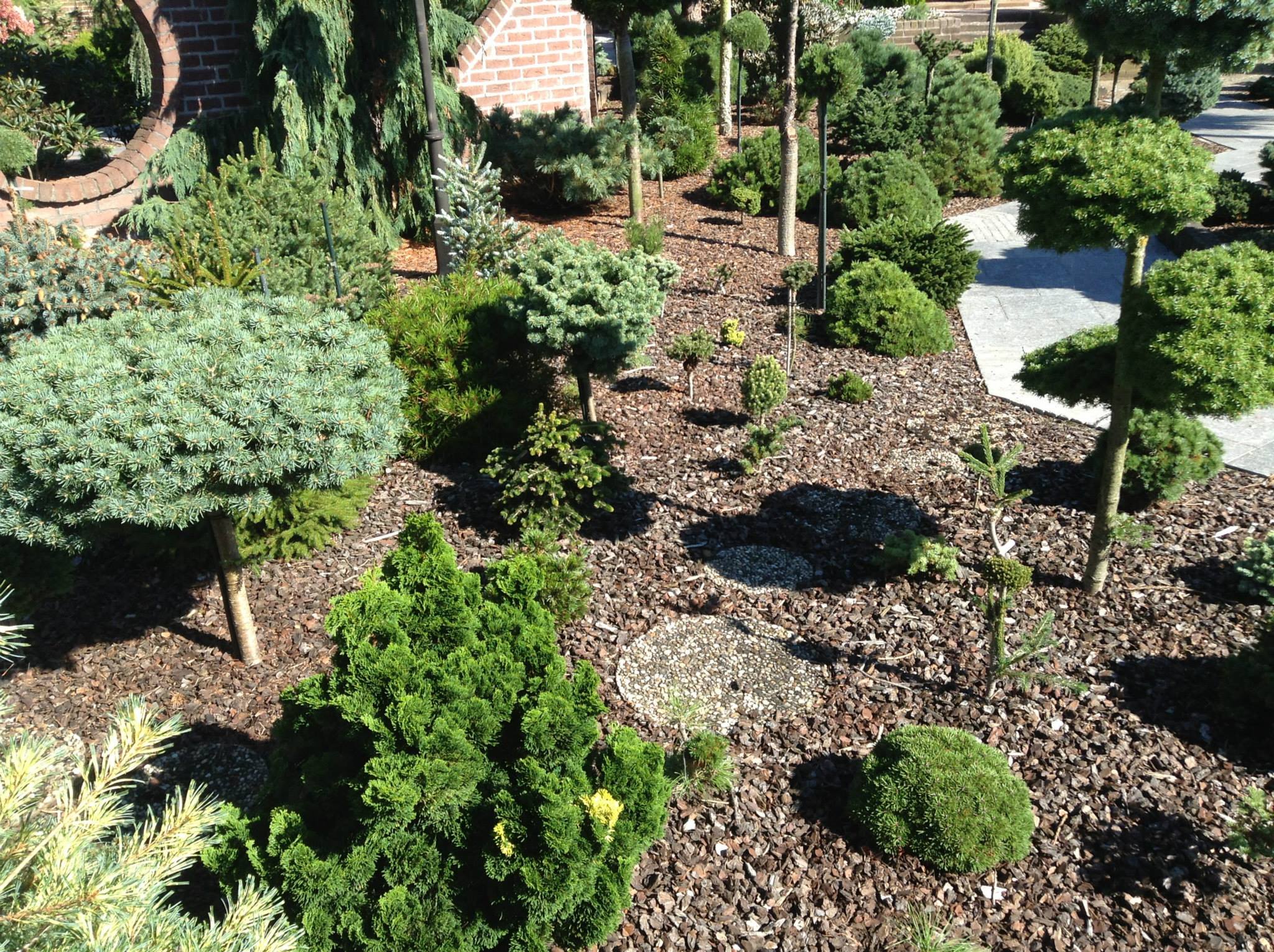 Hagehjelp — bed med busker og blomster